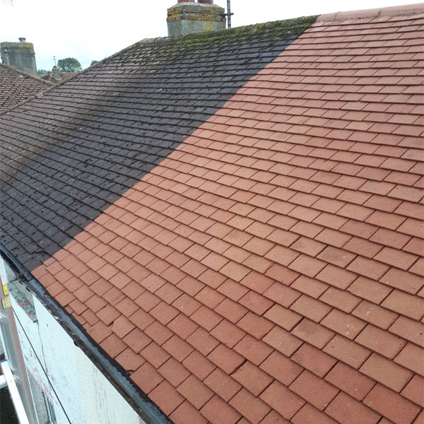 roof moss removal